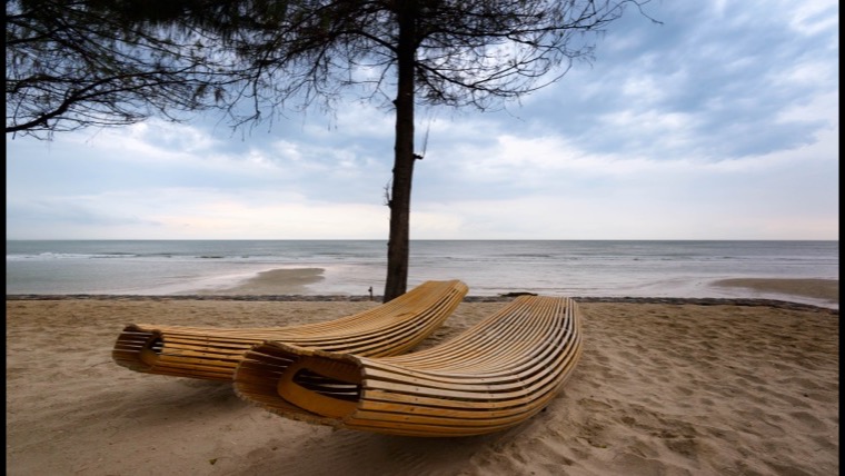 Beach loungers facing the ocean at a resort