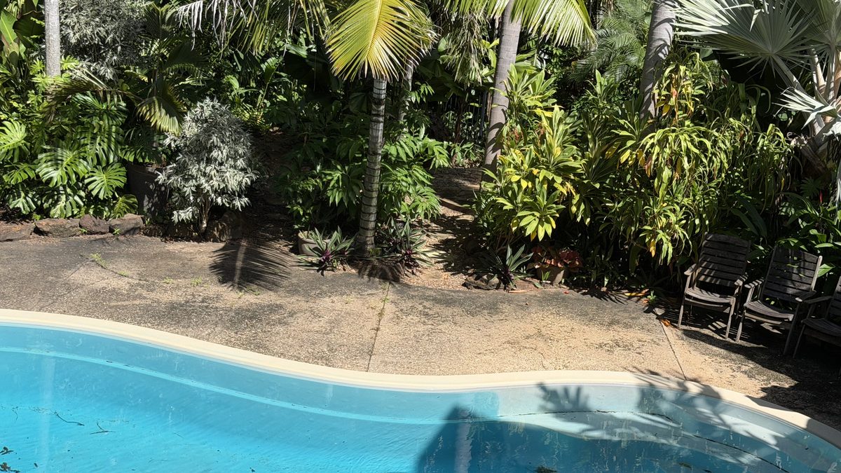 Tropical garden beside a resort pool